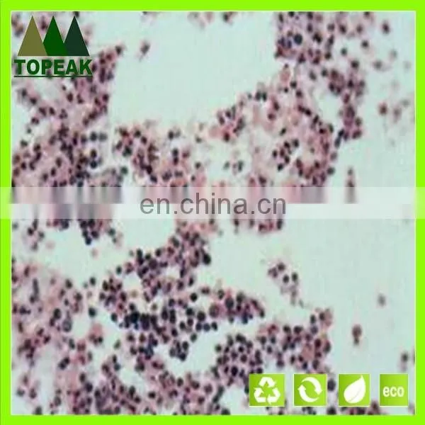 Laboratory Research Human Histology Prepared Microscope Slides educational prepared slides