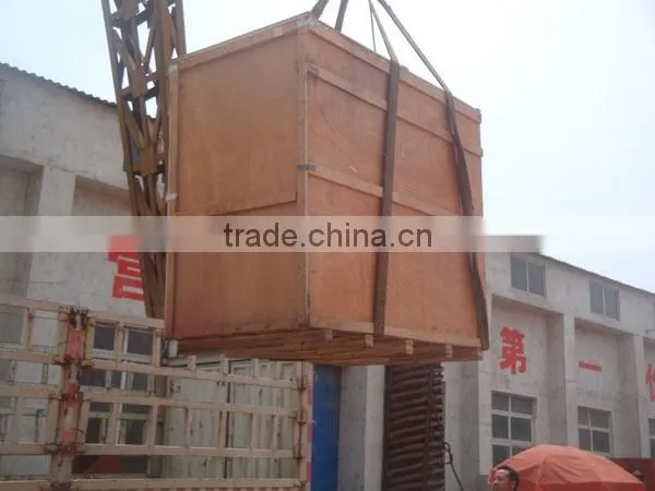 Good Helper For Farmers ! Double Roller Granulator Machine