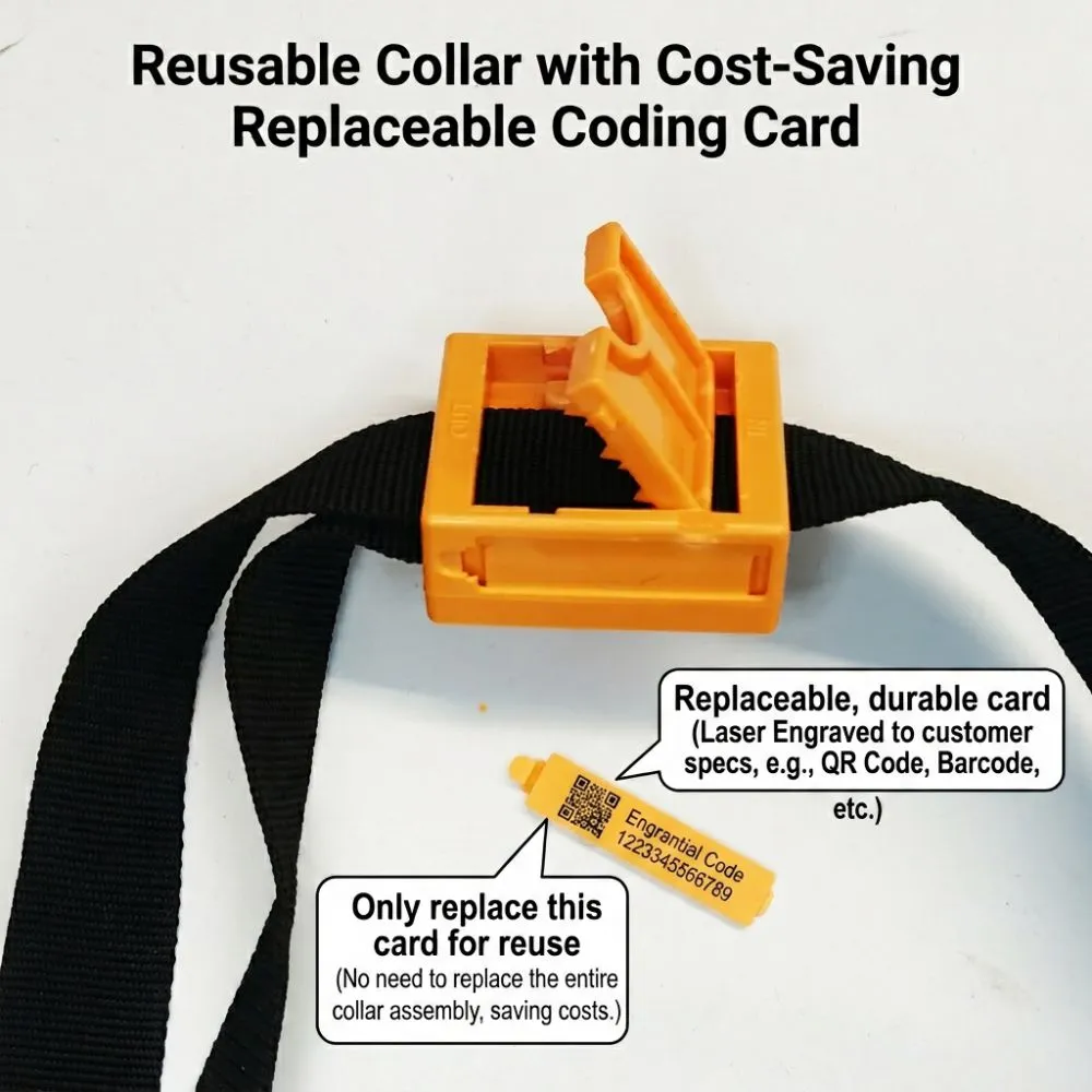 Bluetooth collar 1.jpg.webp