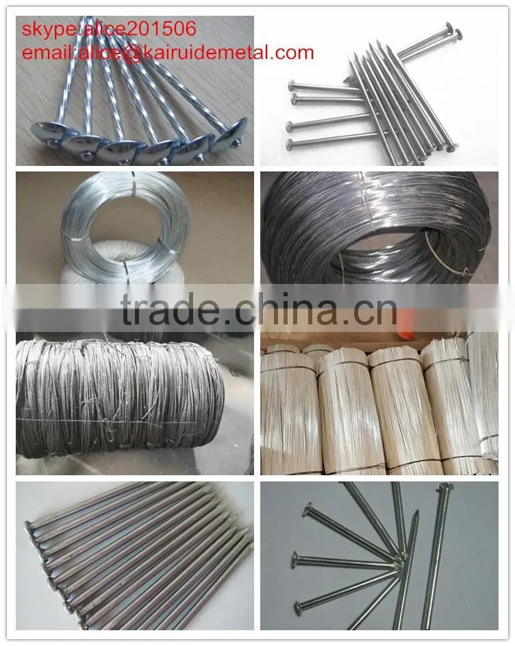 factory produce low price high quality all size of black annealed wire iron wire