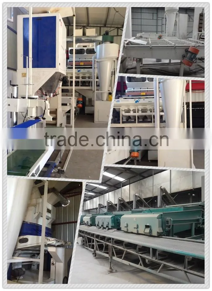 Inner Mongolia Sunflower Seeds 601 With Good Price