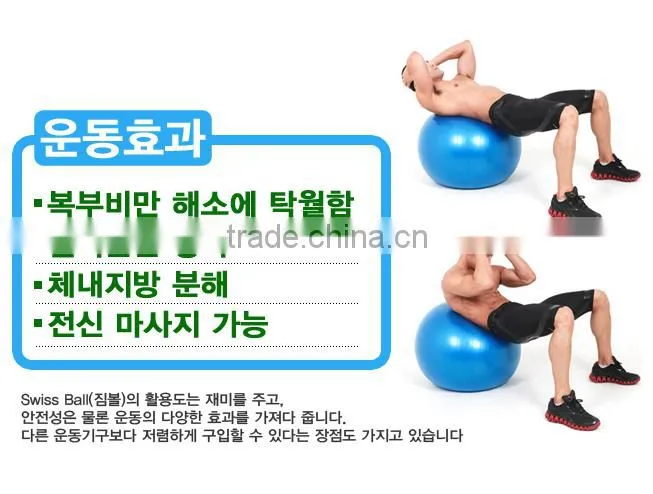 Gym Ball Swiss Ball/ Gym Equipment/ Rack