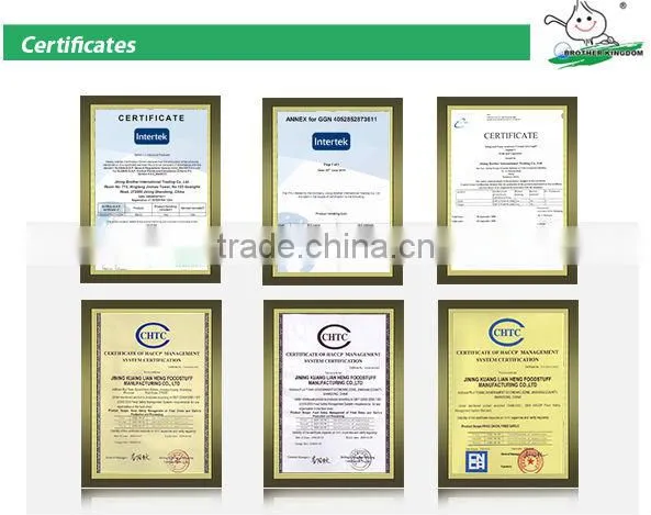 Wholesale chestnut /Horse chestnut/Chestnut from fty