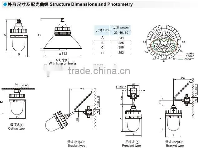 BAD83 explosion proof induction lamp