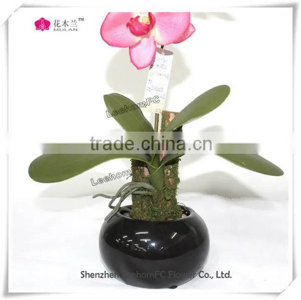Real Touch Orchids in Pot Weding Silk Oncidium Wholesale