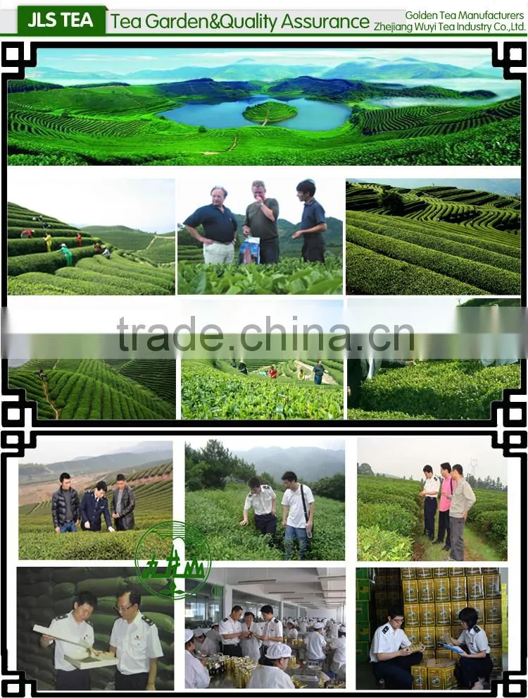 2016 new arrival high quality barley tea for sale