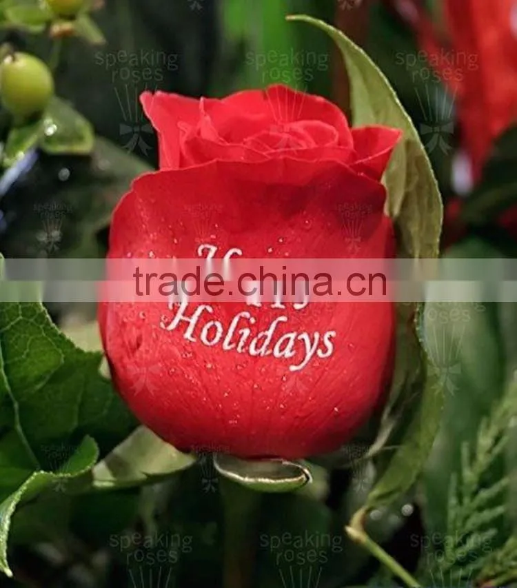 Electric Power Supply and Yes Digital Flower Printer