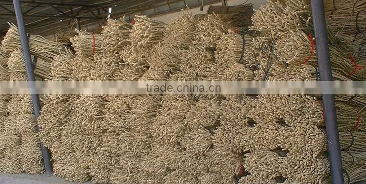 50MM Customised Window Bamboo Curtain Rings
