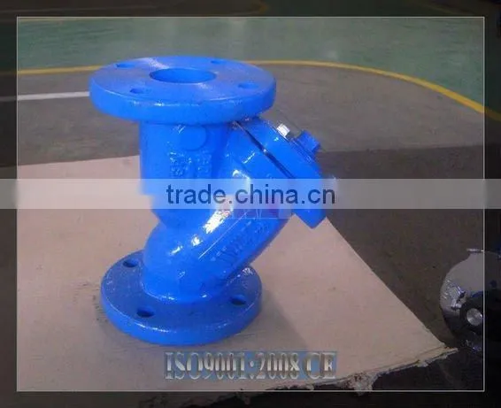 TWS Y Strainer