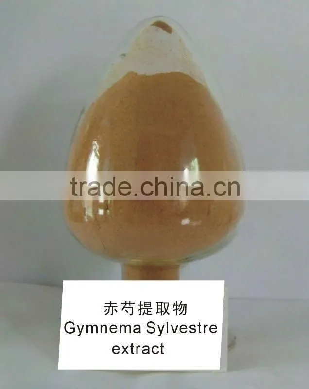 Gymnema Silvestre Extract Powder 25%/50%/75%