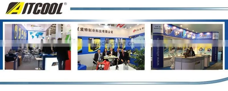 High quality Electronic Refrigerant Charing Scale CS-100
