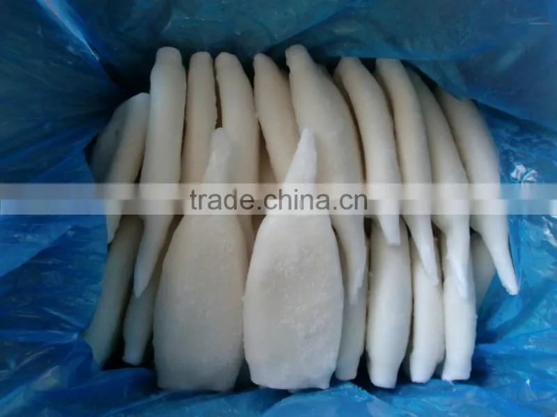 Frozen squid tube fish U5