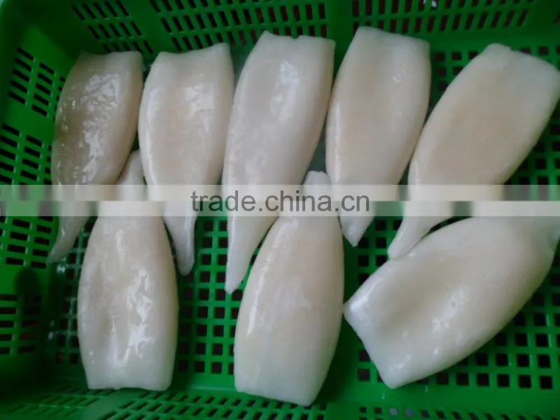 Frozen squid tube fish U5