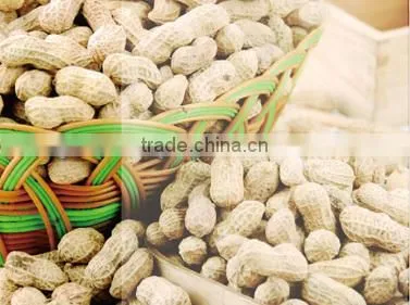 Peanuts