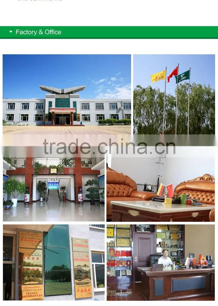 chinese best price for water melon seeds