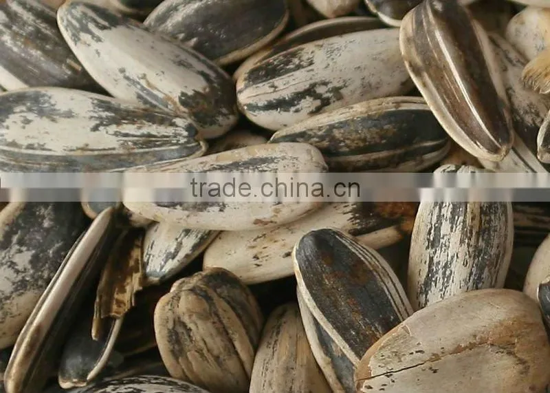 sunflower seed color sorter machine/seeds color sorter/seed sorting machine
