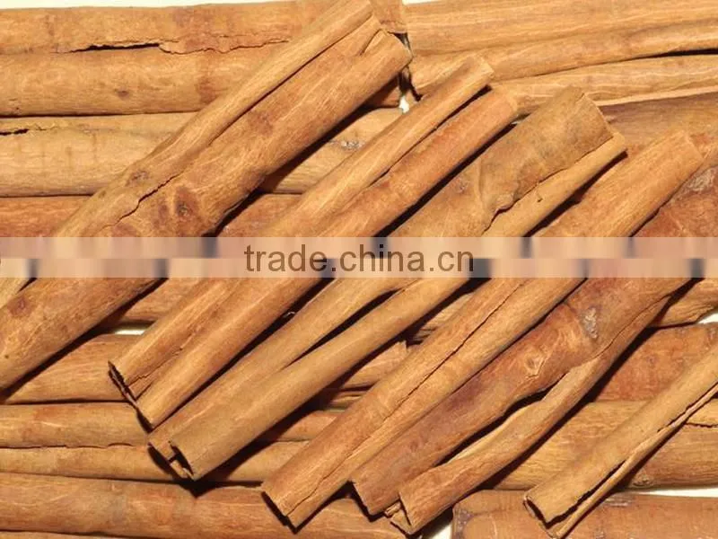 BEST OFFER FOR VIETNAM CASSIA/ CINNAMON BEST SPICES STANDARD CROP 2016