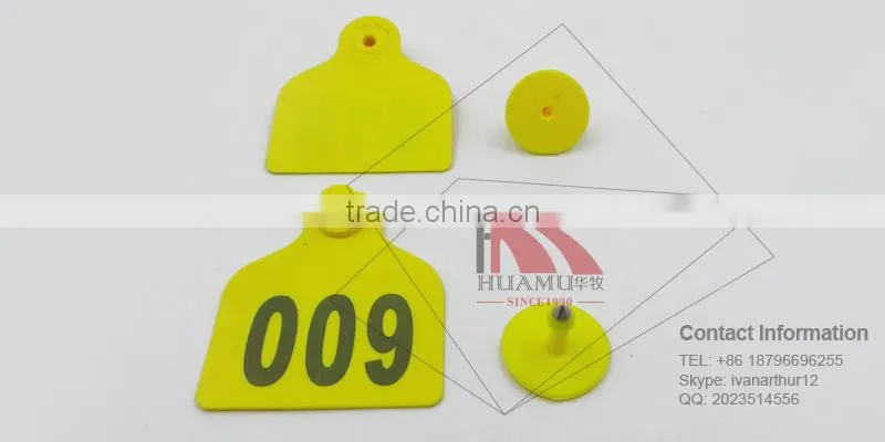 TPU ear tag for buffalo in yellow 49*43 mm