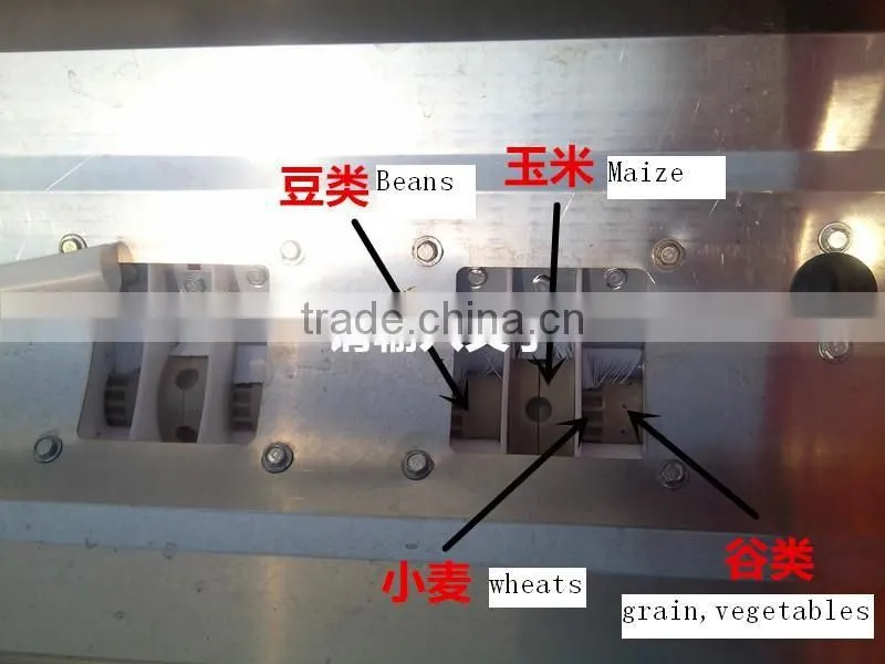 vegetable seed plant machine made by weifang shengxuan machinery co.,ltd.