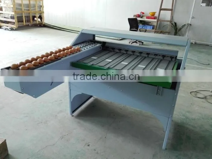 Commercial electric egg grader machine