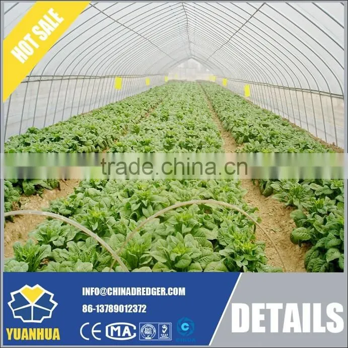 Economic and Practical Vegetable Greenhouse