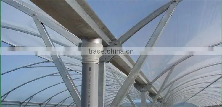 Multi-Span Greenhouse With Roll Up Motor For Ventilation Used For Animals Growing