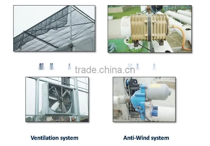 Factory Supply Commercial Greehouse Equipment