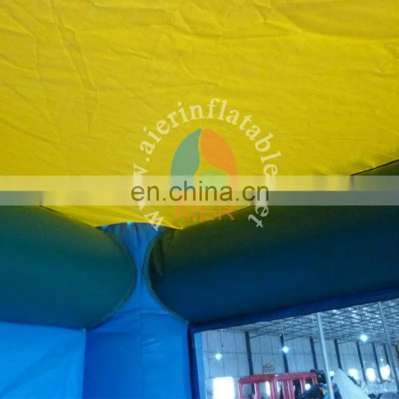 China inflatable carton bouncy house / inflatable toys castle for kids