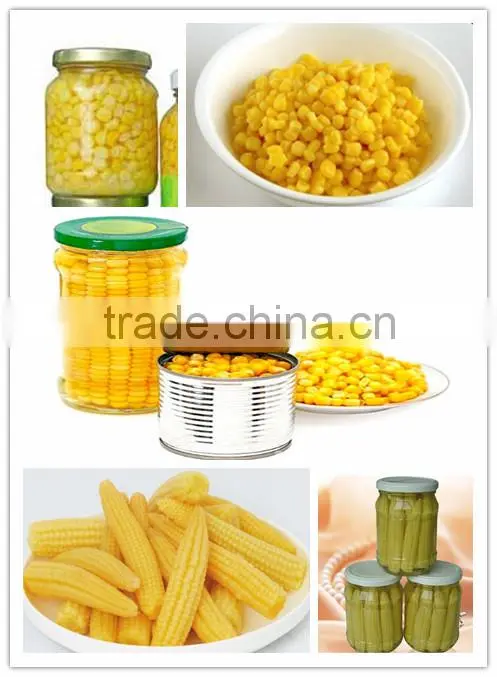 Corn, whole corn, corn kernel, sweet taste, canned product, lowest price from China