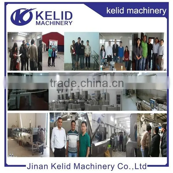 Full Automatic New Condition Panko bread crumbs extrusion line