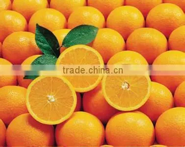 Fruit Sorting Machine for Pineapple, mango, grapefruit, dragon fruit