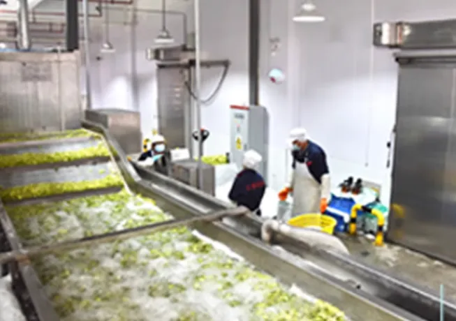 Automatic Frozen Fruit & Vegetable Processing Line Frozen Asparagus Production Line