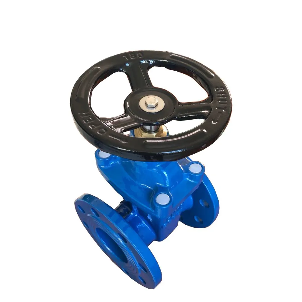 bs gate valve-3.jpg.webp