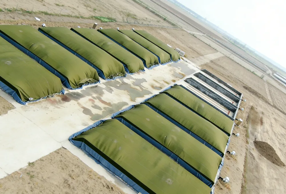 发酵膜及堆肥相关关键词扩展 (14)
