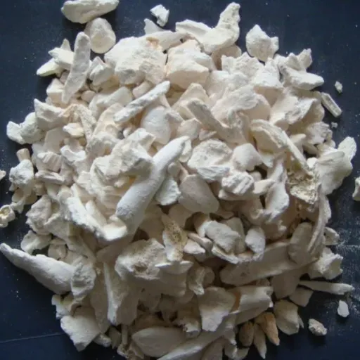 Bone Ash (2)