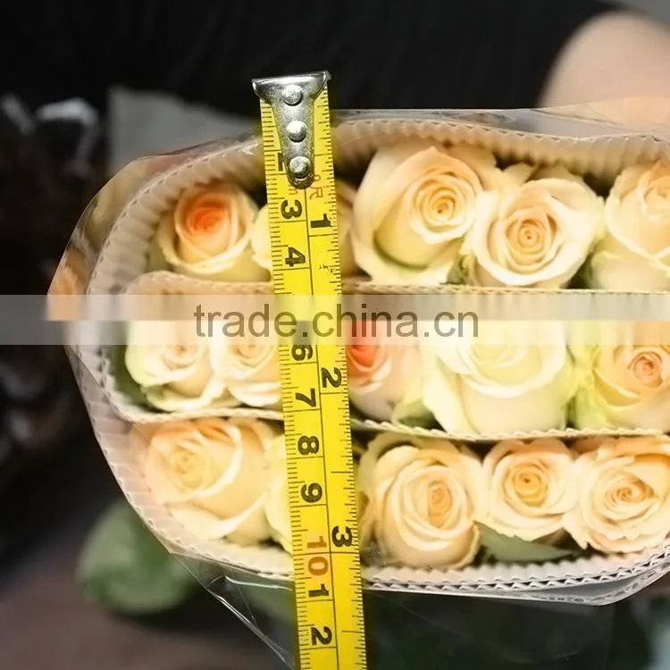 High quality promotional champagne color rose flowers