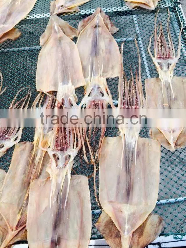 export dried shredded squid, dried illex squid