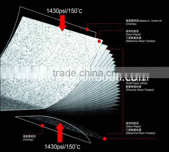 Compact Laminate/Toliet partition board/Compact HPL
