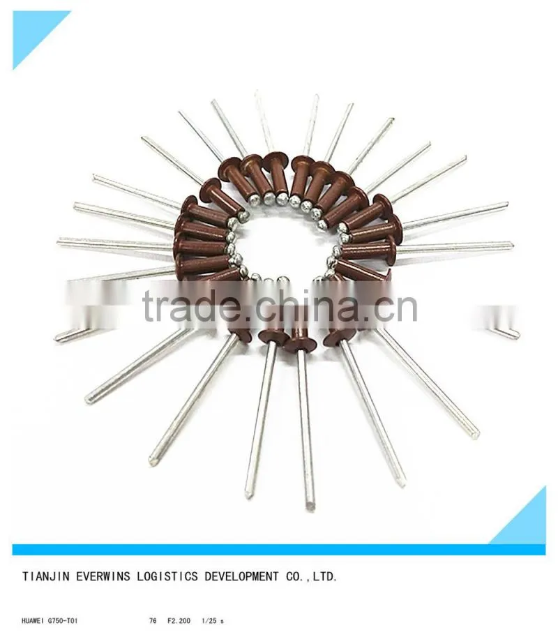 Brown color Rivet