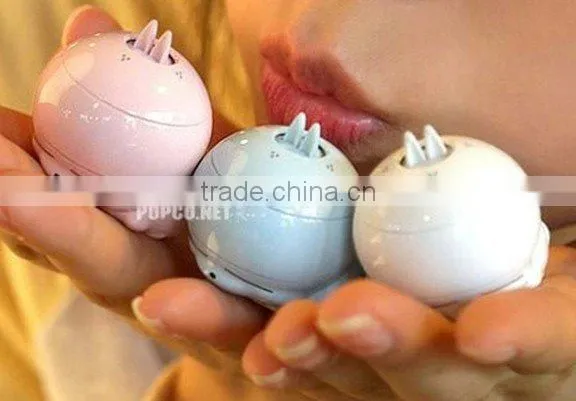 Lovely Music MashiMaro Player MP3 The rascal rabbit MP3 player 2GB 4GB kids mp3.