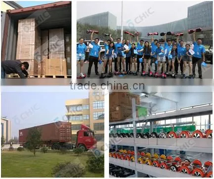 2016 new model 2 Wheel Electric Cruiser Self Balancing Board Scooter Factory Wholesale for patrol,cruise or beach.