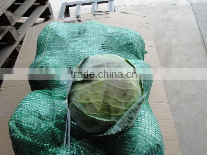 Fresh Chinese white cabbage