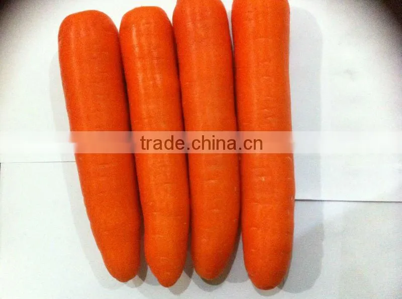 Chinese fresh carrot