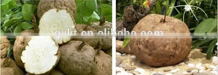 Herbal Breast enlargement medicine Pueraria Mirifica breast enlargement pills