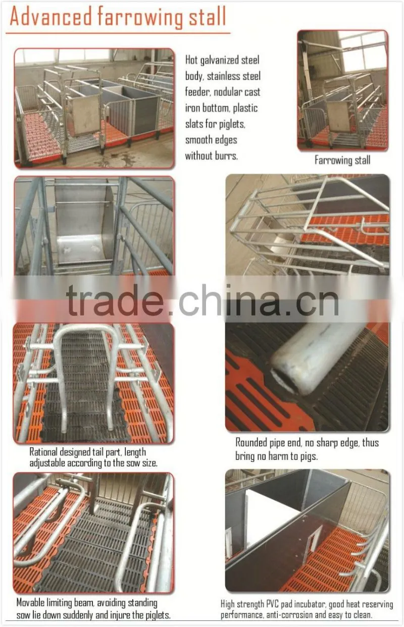 *pig farrowing crates,pig farming equipment