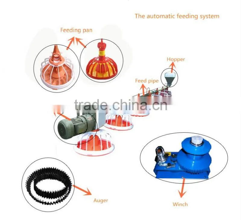 automatic chicken feeding chicken feeding line poultry chain feeding system