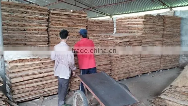 100% A grade Eucalyptus core veneer origin of Vietnam