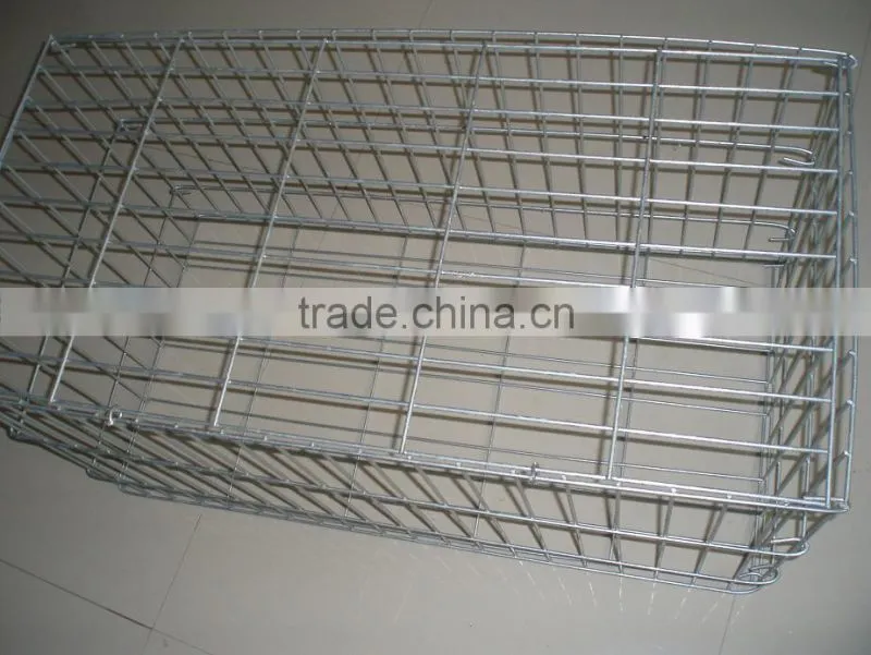 Hot -dipped Galvanized Welded Wire Mesh 3315 (factory)