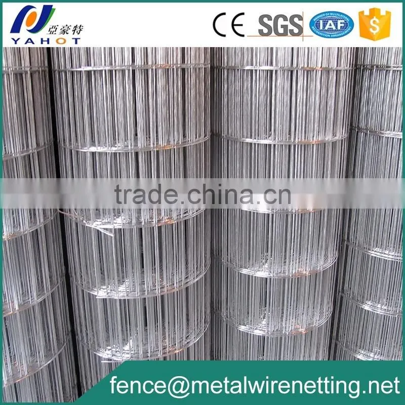 Welded Wire Mesh Hot Dipped Galvanized