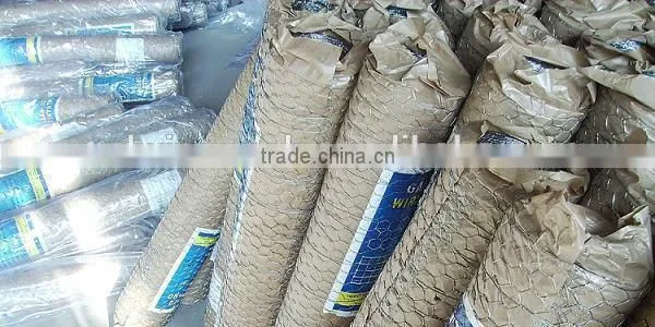 anping hexagonal wire mesh